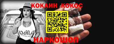 шишки Изобильный