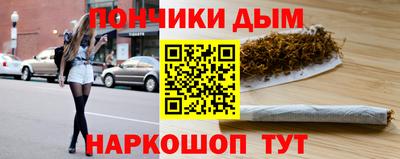 шишки Изобильный